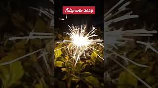 Feliz año 2024 #gardening #plantas #jardin #gardeningplants #cactusysuculentas