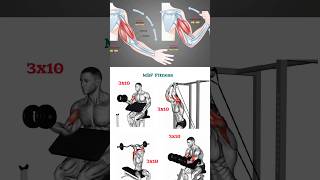 biceps workout | triceps workout for you and me#motivation #shorts #biceps #triceps #viral #tending