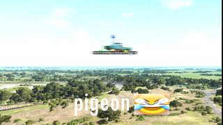 haha pigeon fly