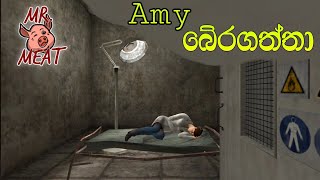 Amy බේරගත්තා 😭|Mr meat full Gameplay|Sinhala