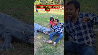 Crocodile🐊Papak Dhore💥Nilo😱🤣 #shorts #funnyvideo #comedy #trishikarimpa