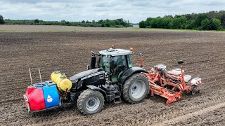 🌽Semis de maïs 2024🌽en combiné 6 rangs ⚫ Massey Ferguson Black⚫