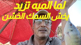 الميه تزيد يدخل الخير وحوش الزيادة الجديدة