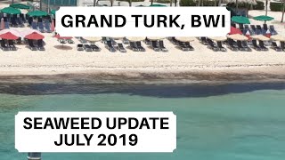 Grand Turk Seaweed Update July 2019