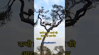 best motivation thaughts in hindi#bestmotivation #motivation #motivational #success #trending #viral