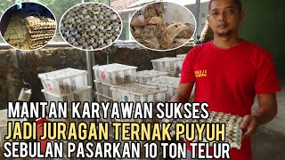 DULU KARYAWAN SEKARANG JURAGAN TERNAK PUYUH, SEBULAN PASARKAN 10 TON TELUR