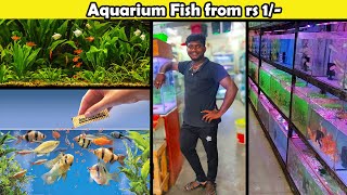 1rs முதல் மீன்கள் | கொளத்தூர்க்கு போட்டியாக நங்கநல்லூர் ANNAI DOLPHIN AQARIUM | Shopping Best Things