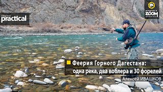 Феерия Горного Дагестана: одна река, два воблера и 30 форелей. Алексей Ивашков. Anglers Practical