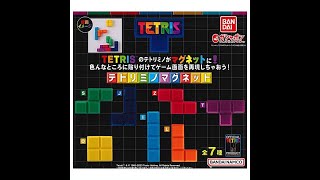 ASMR MYSTERY SURPRISES Satisfying Unboxing NO Talking Video NCS0034 TETRIS Tetrimino Magnet