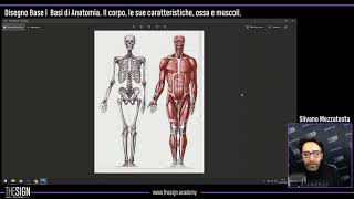 Disegno Base - Basi di Anatomia