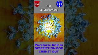 108 LOTUS FLOWERS | #shorts