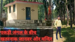 jangal me prachin shivling |maharajganj sshivling | maharajganj |pakdi jangal maharajganj |शिवलिंग