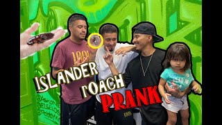 COCKAROACH PRANK // DINERO100K