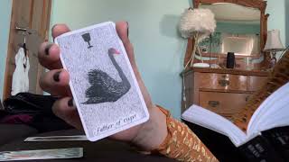 Asmr- Reading your tarot! (Past, present, future) 🌞