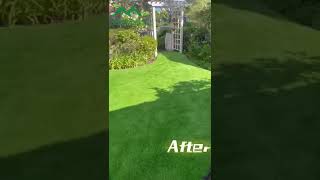 Wisettle Grass——What a beautiful TruArtificial Turf Transformation!!!