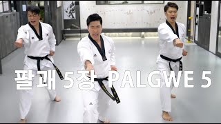 Poomsae Palgwe 5 jang 품새 팔괘 5 장