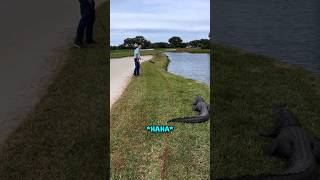 He found a gator while golfing ⛳️