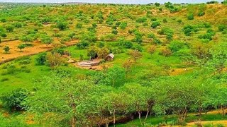 Beauty of Tharparkar / Tharparkar sindh Pakistan / Thar Nagarparkar Sindh