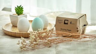 珪藻土吸濕蛋 Drying Eggs (Diatomaceous Earth)