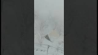 Live Snowfall #youtubeshorts #live #shorts  Nirvana hamta retreat Manali