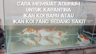 Cara Buat Aquarium Karantina dan Pengobatan Ikan Koi