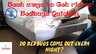 Best Way To Get Rid Of Bed Bugs Quickly