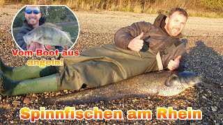 Spinnfischen vom Boot am Rhein!