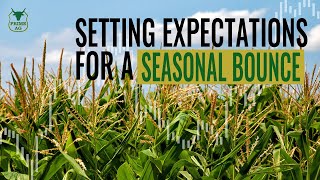 Seasonal Bounce Expectations for Corn