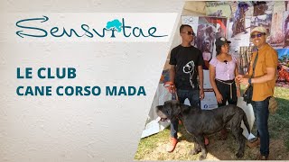 Le Club Canin Cane Corso Mada