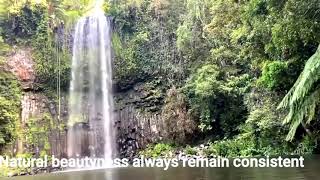 Natural beautiness always remain constant| Relaxing motion Natural sound|  Amazing nature scenery|