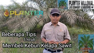 Beberapa Tips untuk Membeli Kebun Kelapa Sawit