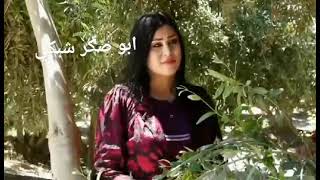 أحدث اغنيه شبكيه للفنان غازي باجلان و فنانه لبنا آيدل. في سهل نينوى موصل