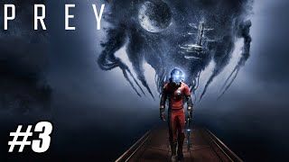 Prey - Part 3