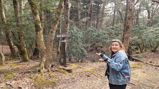 Hiking and Spelunking Around Fujisan