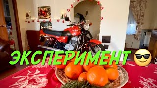 Ява и Собака,- мои верные друзья! Эксперимент.Мотоцикл в доме🤭☠️😎