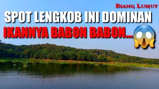 SPOT LENGKOB INI DOMINAN IKANNYA BABON BABON😱MANCING CIRATA TERBARU