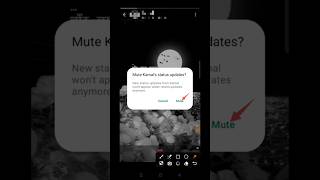 STATUS MUTE कैसे करें 🤯🔥 #shorts #whatsapp