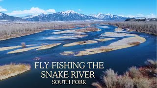 Fly Fishing the Snake River - South Fork, Idaho