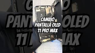 Cambiando pantalla 11 Pro Max Oled 📱🔬