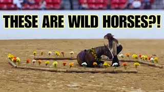 Mustang Challenge 2024 ~ Wild HORSES compete for $125K 💰EP4~