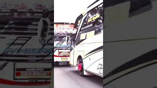 story wa bus keren terbaru*#NAFIT TRANS* keren 👍