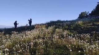 Binog hill, Mussoorie