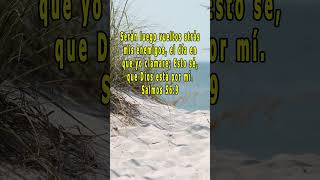 Versículos de la Biblia Salmos 56:9 new #shorts_videos