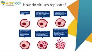 GCSE AQA Biology - B3 Infection and response - Communicable diseases and treatment