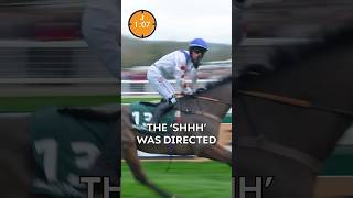 What you missed this week brought to you by Trust A Trader #horseracing #cheltenham