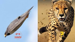 Top 10 Fastest Animals in the World! Blazing Speed Uncovered!