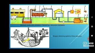 Biogaz energiyasidan foydalanish