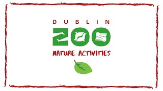 Dublin Zoo Nature Activities: Water baths