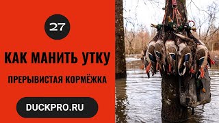 27. Обучающее видео от Elite Duck Calls. Прерывистая кормежка. Русская озвучка.