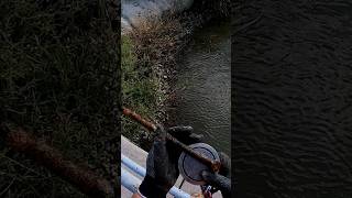 Magnet Fishing finding parts from the Bridge